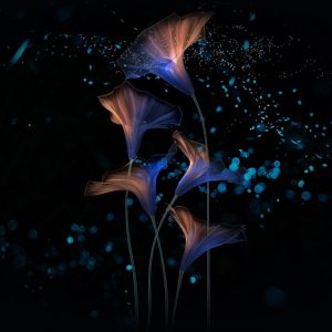 Honor Magic 2 Walls 2 300x300 Honor Magic 2 Walls 2 300x300