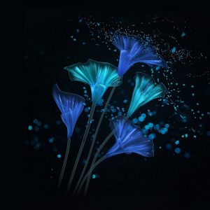 Honor Magic 2 Walls 3 300x300 Honor Magic 2 Walls 3 300x300