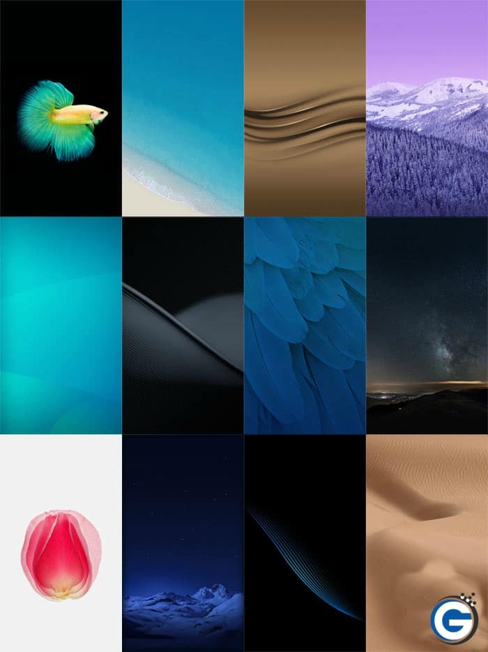 Vivo Xplay 6 Stock Wallpapers