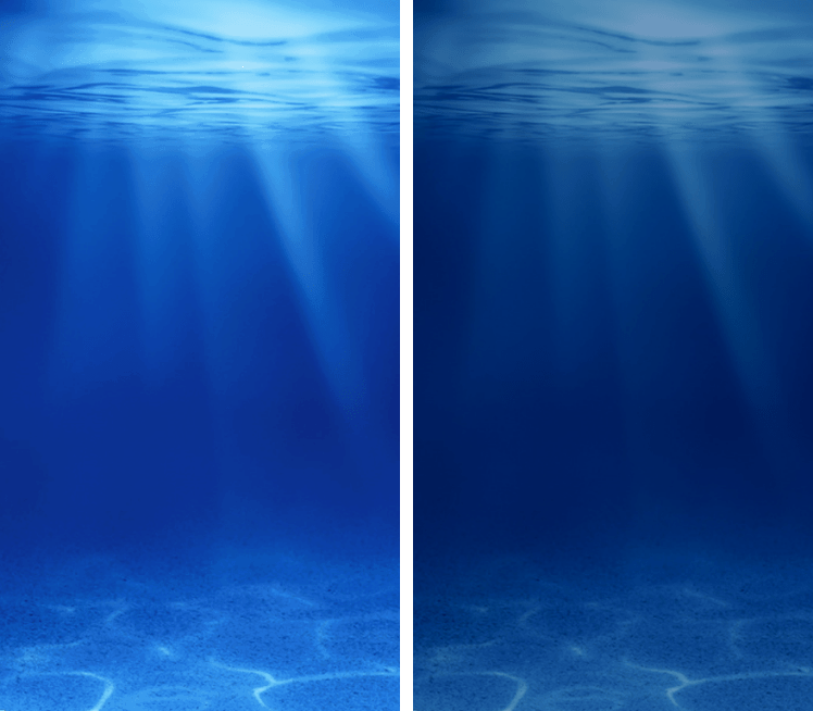 Vivo Y37 Wallpapers