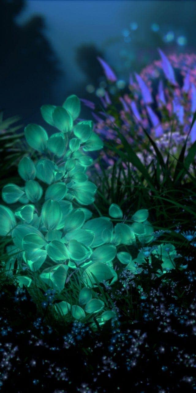 Huawei p20 pro wallpaper hd download Huawei p20 pro wallpaper hd download