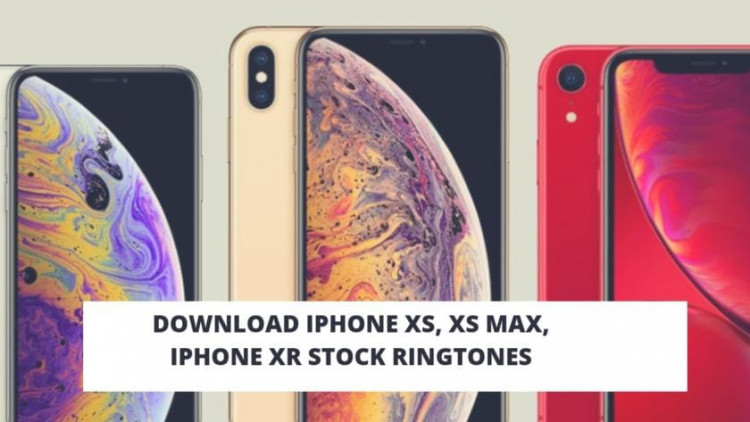 Download iPhone XS, XS Max, iPhone XR Stock Ringtones. Follow the post to download iPhone XS Ringtones, iPhone XS Max ringtones, iPhone XR Ringtones.