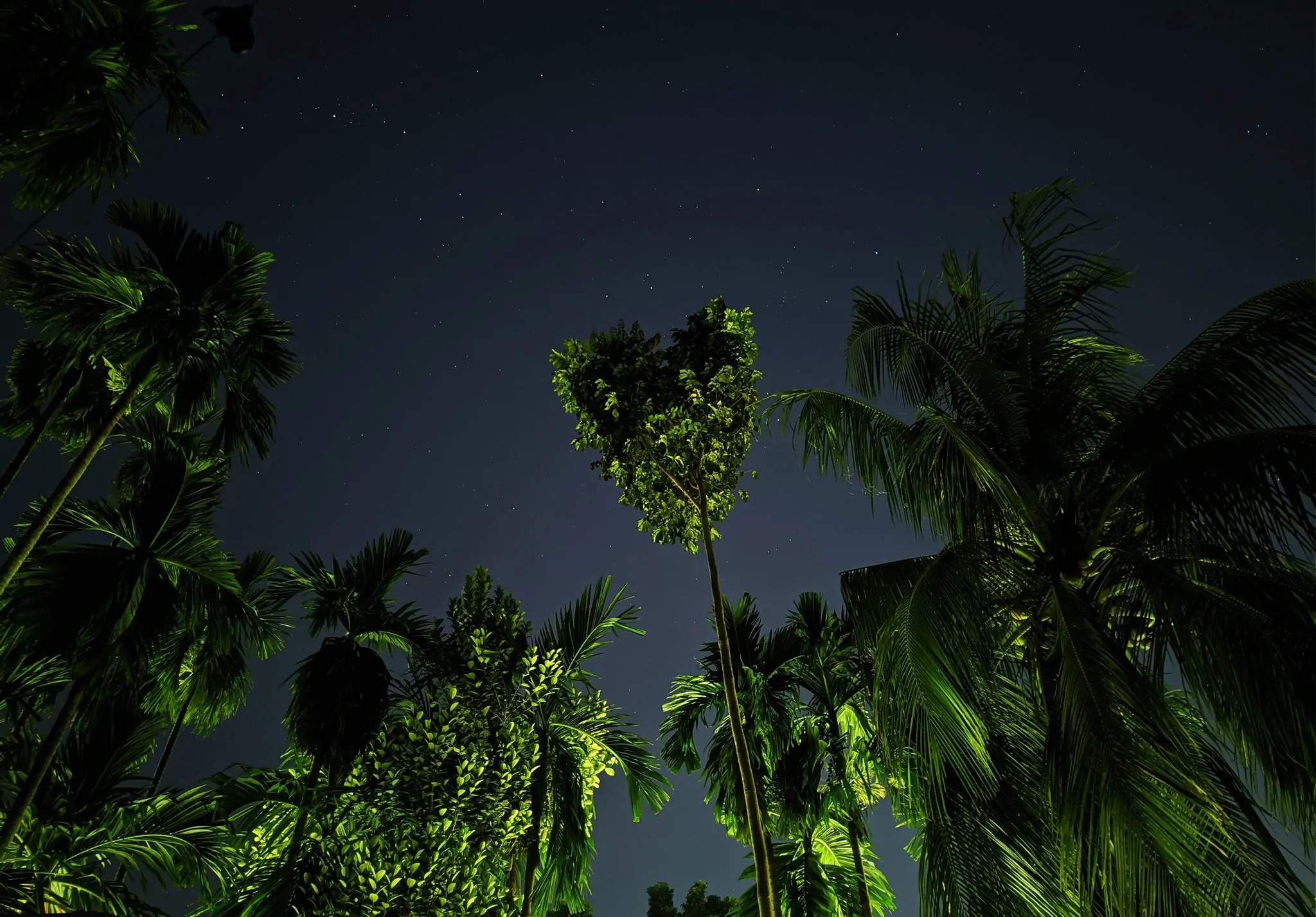 Google Camera For Xiaomi Poco F1 Sample