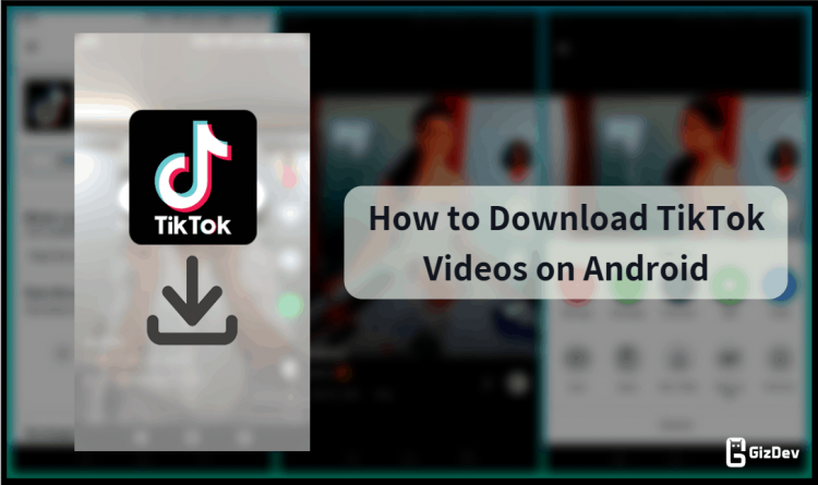 How To Download TikTok Videos