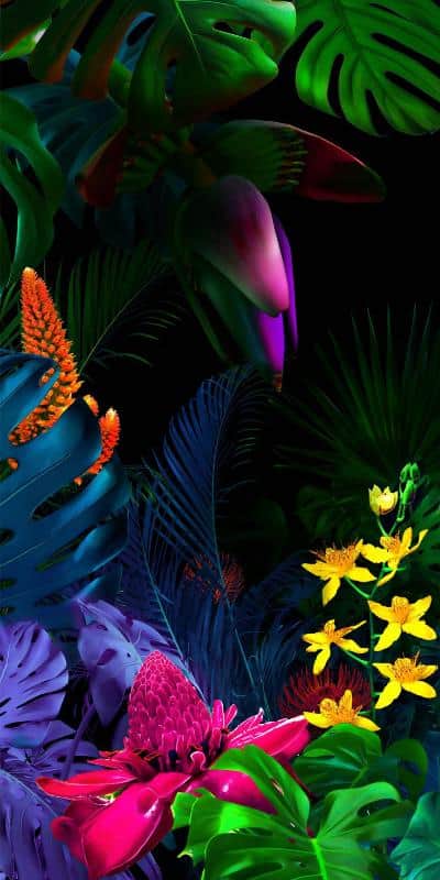 LG G8 ThinQ Wallpaper