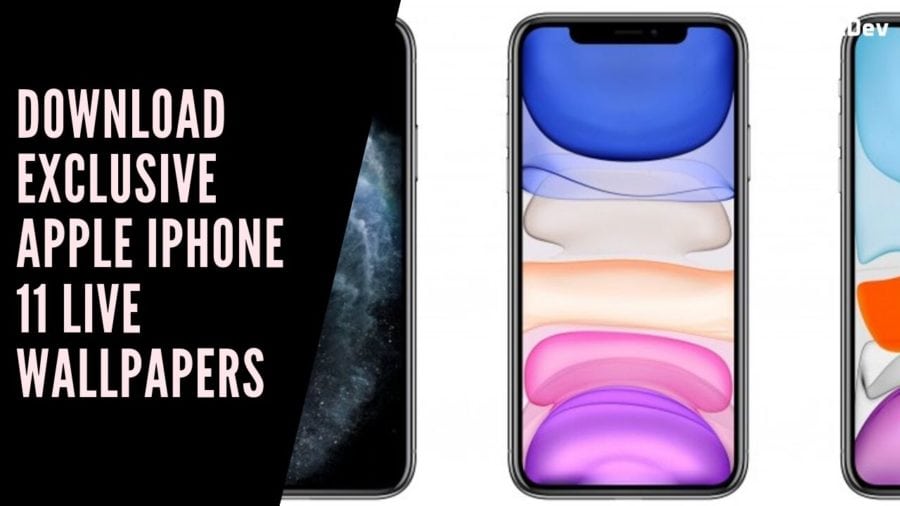 Download Exclusive Apple Iphone 11 Live Wallpapers