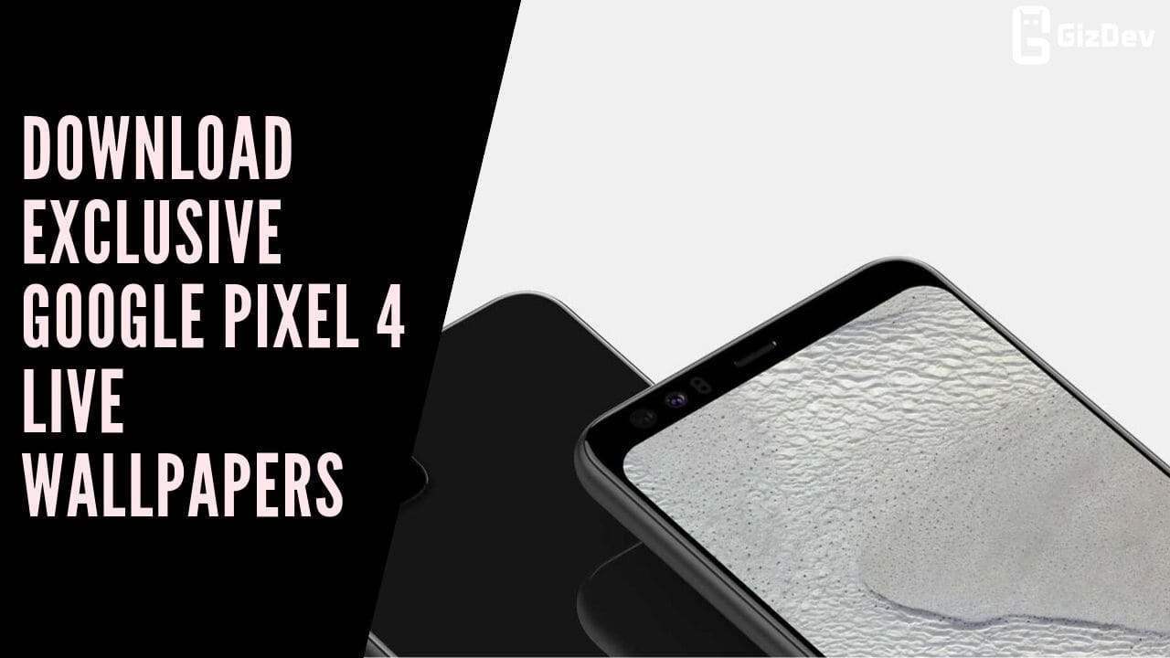 Download Exclusive Google Pixel 4 Live Wallpapers