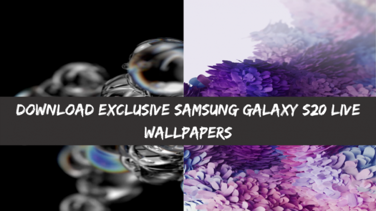 Download Exclusive Samsung Galaxy S20 Live Wallpapers [Video Walls]