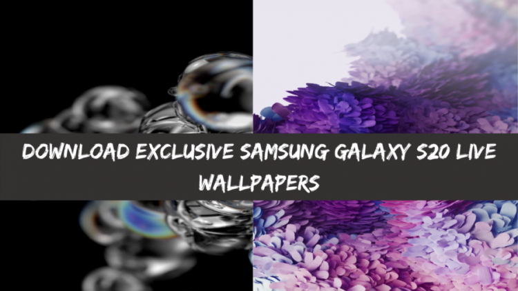 View Samsung Galaxy S10 Live Wallpaper Video Download Pics