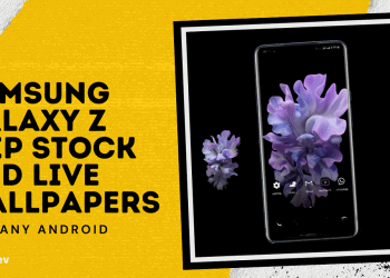 Download Samsung Galaxy Z Flip Stock Wallpapers Updated1