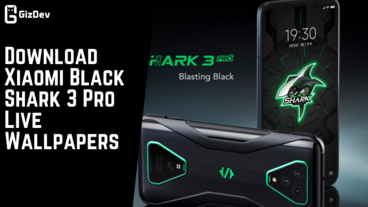 Download Xiaomi Black  Shark  3  Pro  Live  Wallpapers 