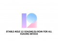 Stable MIUI 12 Xiaomi.eu ROM