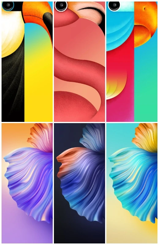 Tecno Camon 16 Stock Wallpapers
