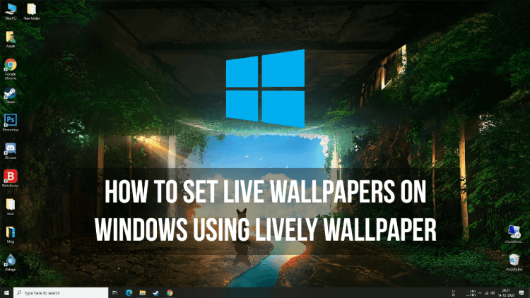 How to Set Live Wallpapers on Windows using Lively Wallpaper