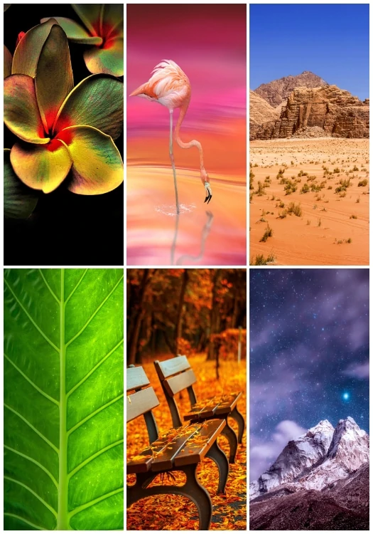Lava Z6 Stock Wallpapers