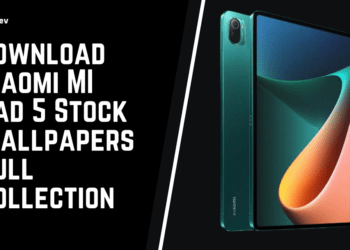 Download Xiaomi MI Pad 5 Stock Wallpapers Full Collection