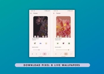 Pixel 6 Live Wallpapers from Pixel 6 and Pixel 6 Pro