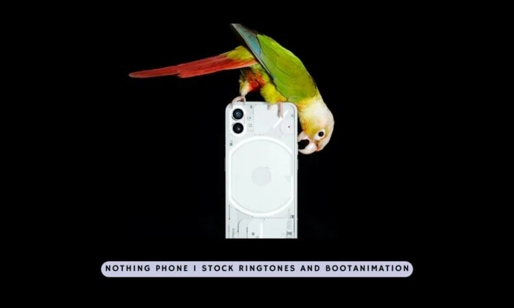 Nothing Phone 1 Stock Ringtones and Bootanimation