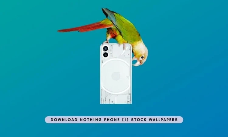 Download Nothing Phone 1 Stock Wallpapers