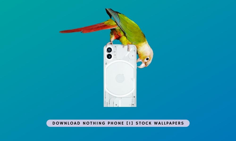 Download Nothing Phone 1 Stock Wallpapers | 2K Resolution in Zip File