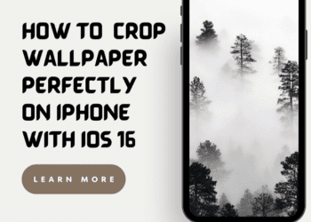 How To Crop Perfect Wallpaper On iPhone on iOS 16