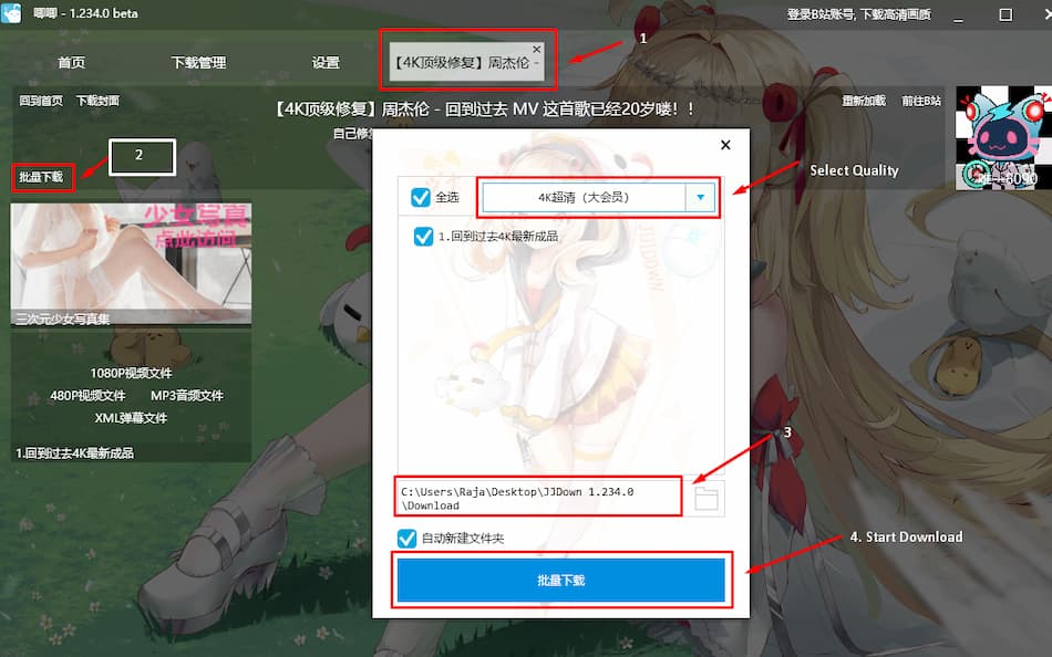 JiJiDown Bilibili video downloader 4K Video
