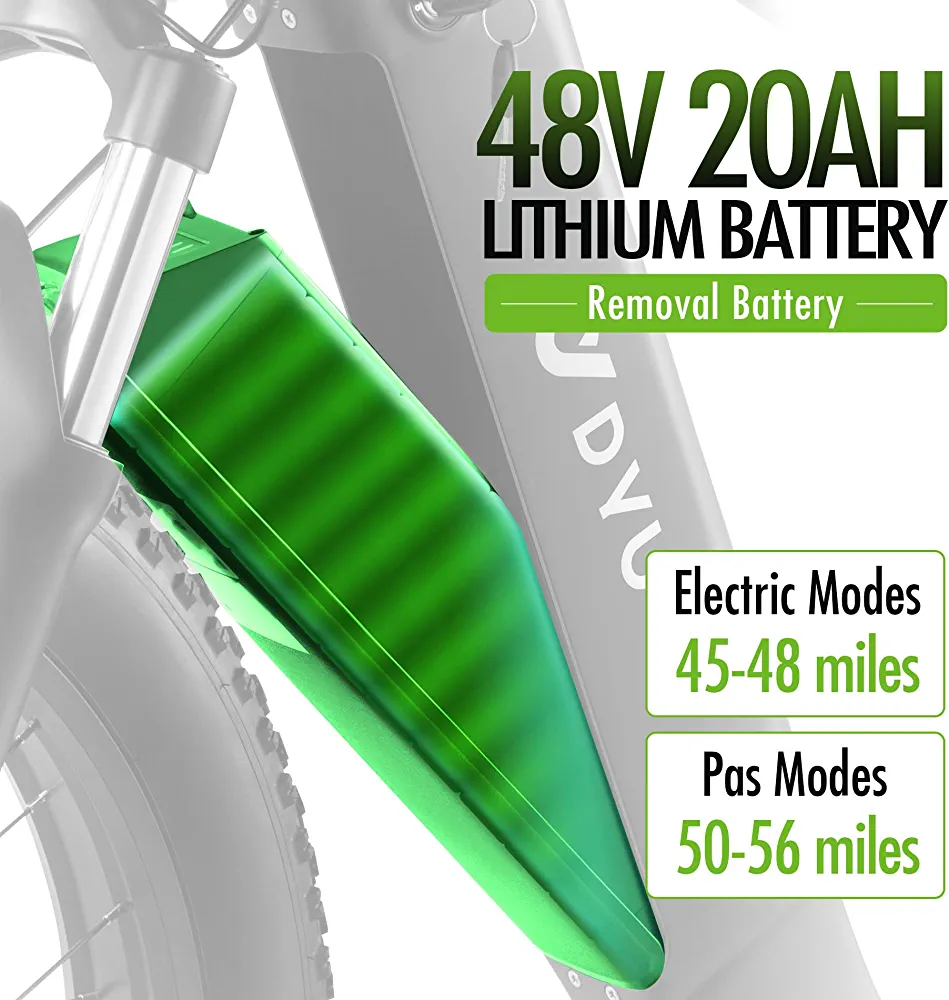 DYU King 750 Electric Bike