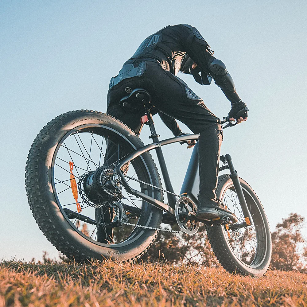 Electric Bike