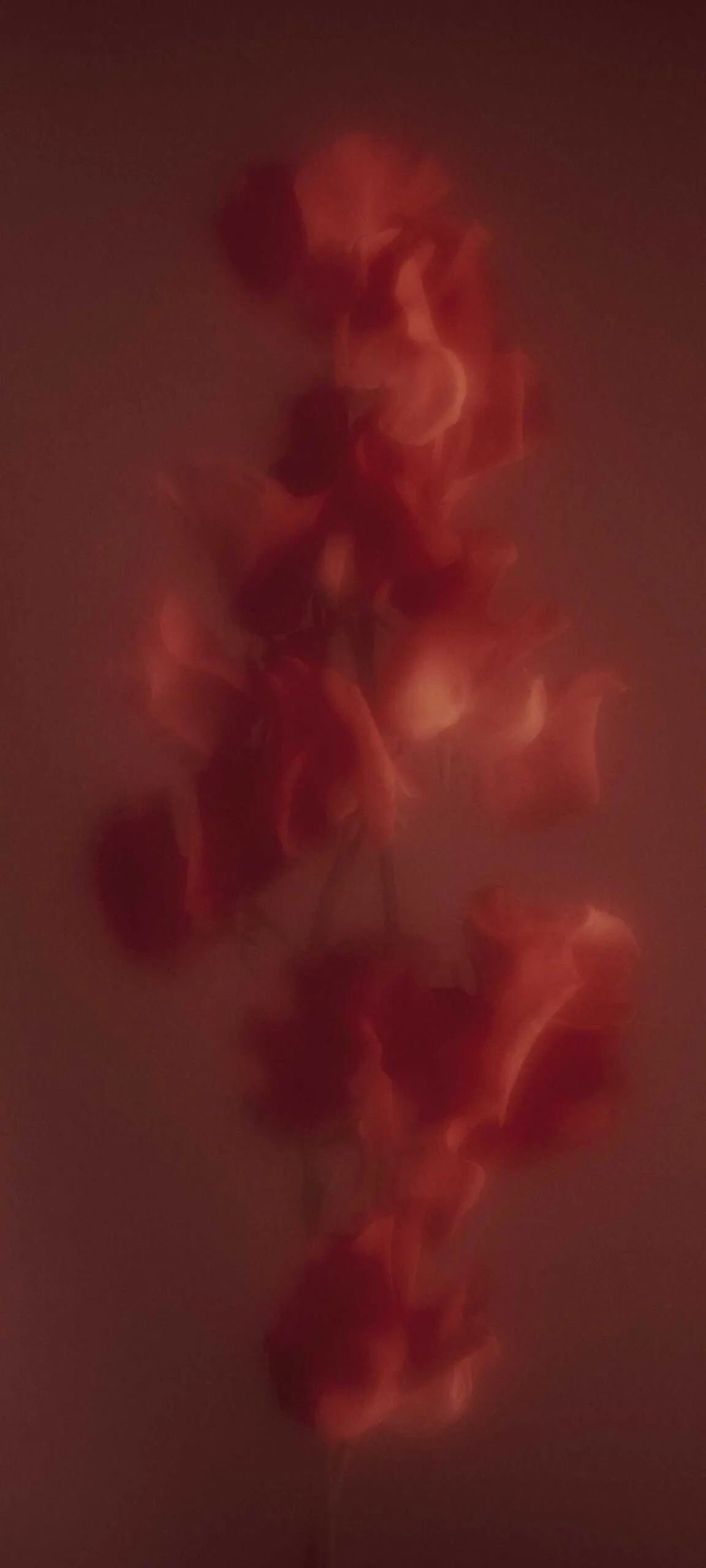 Nothing Phone 2 Wallpapers red