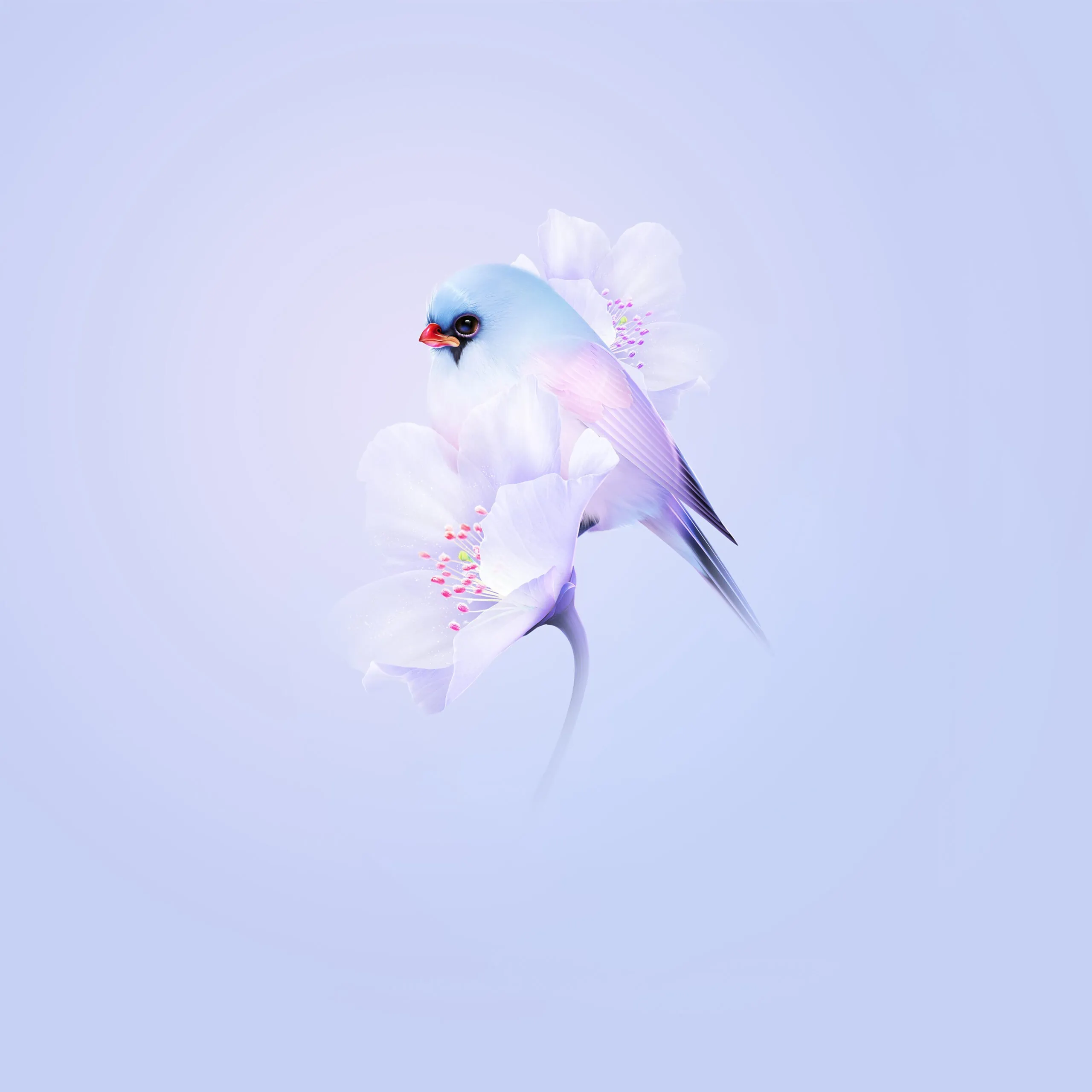 HarmonyOS 4.0 bird