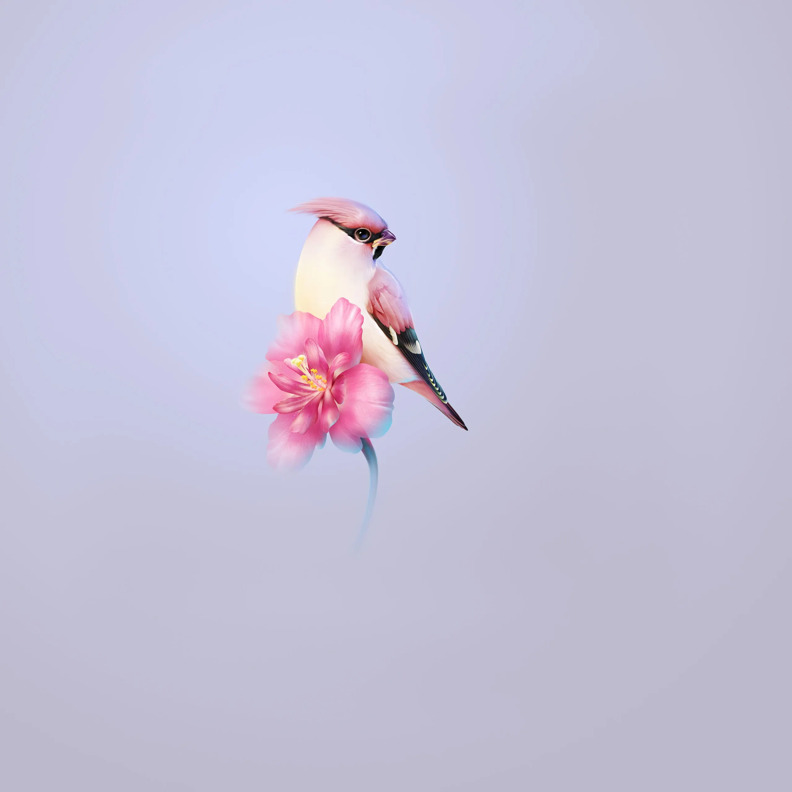 HarmonyOS 4.0 bird 2