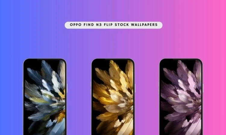 OPPO Find N3 Flip Stock Wallpapers in zip file