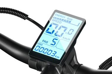 Shengmilo MX03 Electric bike
