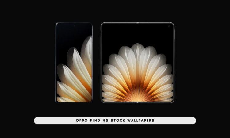 OPPO Find N5 Stock Wallpapers & Live Wallpapers