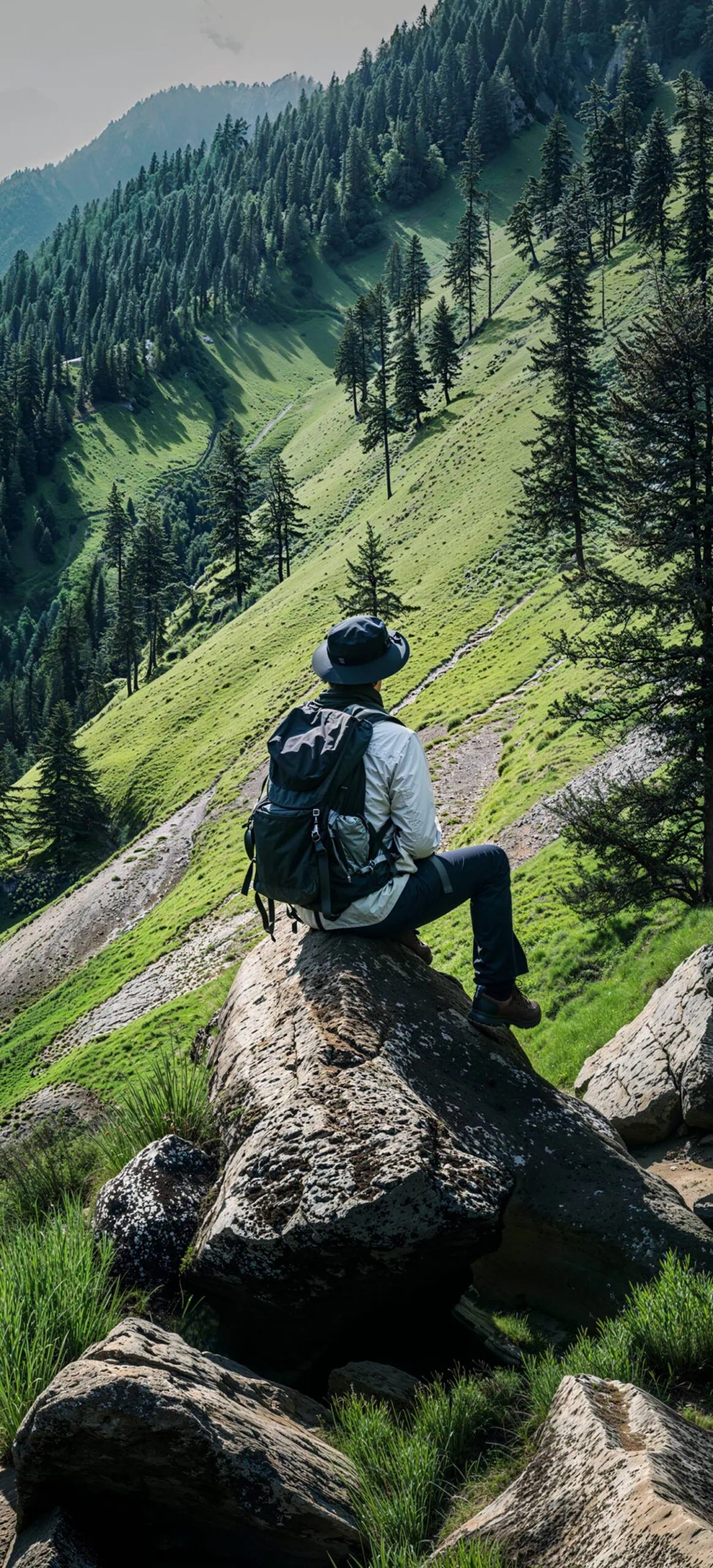 nature Wallpapers from ColorOS 16