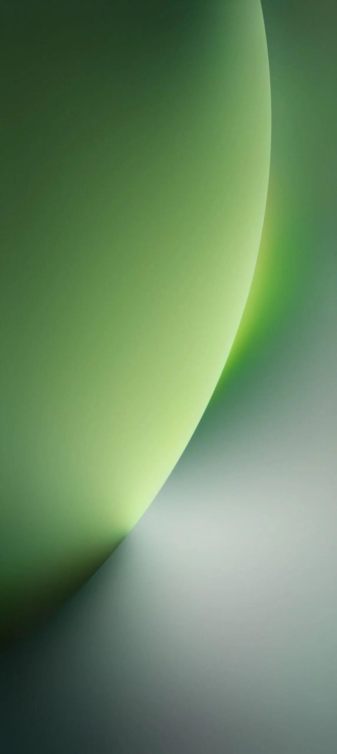 Honor Magic 8 Pro Stock Wallpapers green
