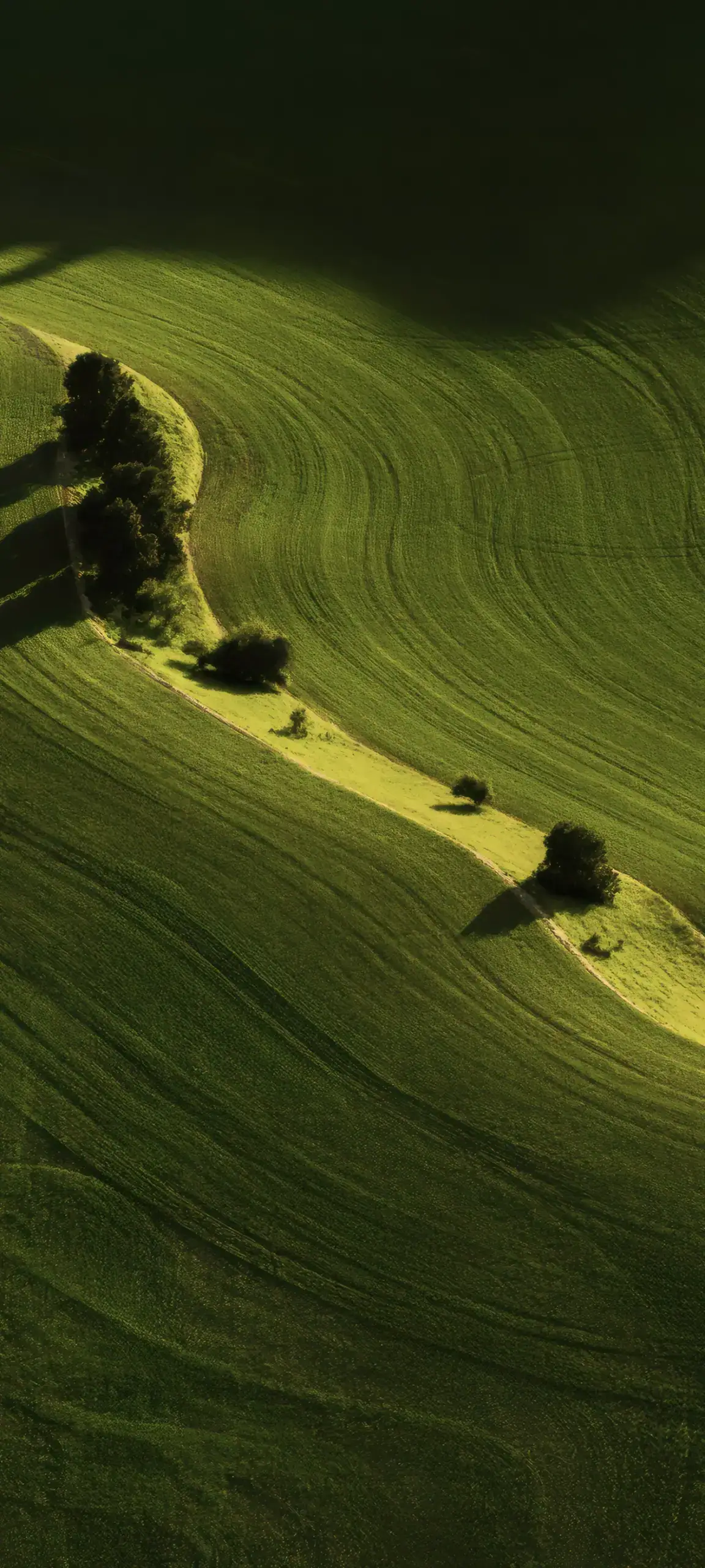OriginOS 6 nature Wallpapers