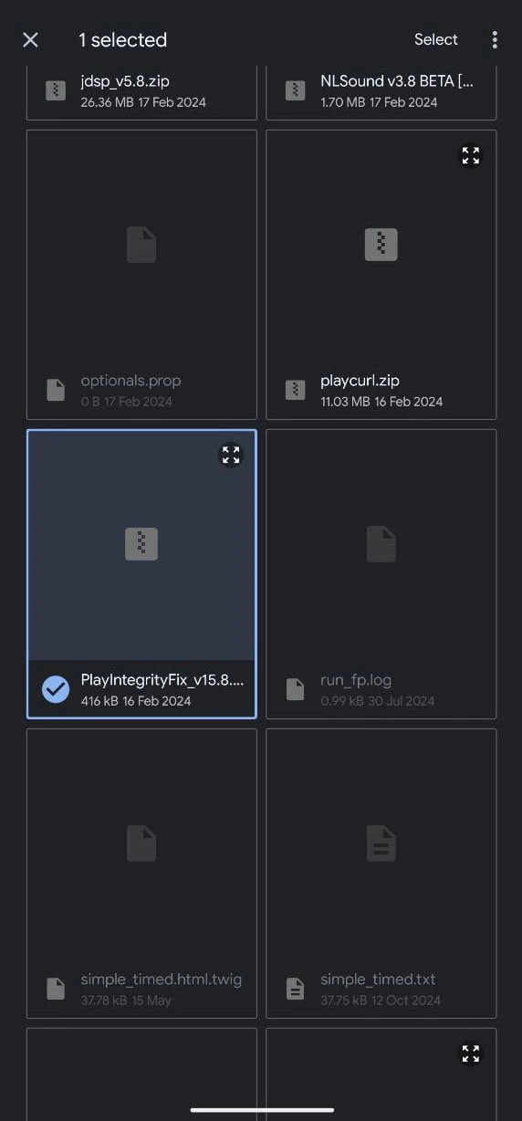 Magisk module for Play Integrity Fix module install