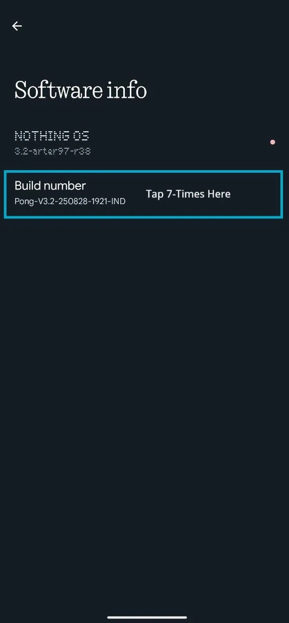 Nothing Phone build number