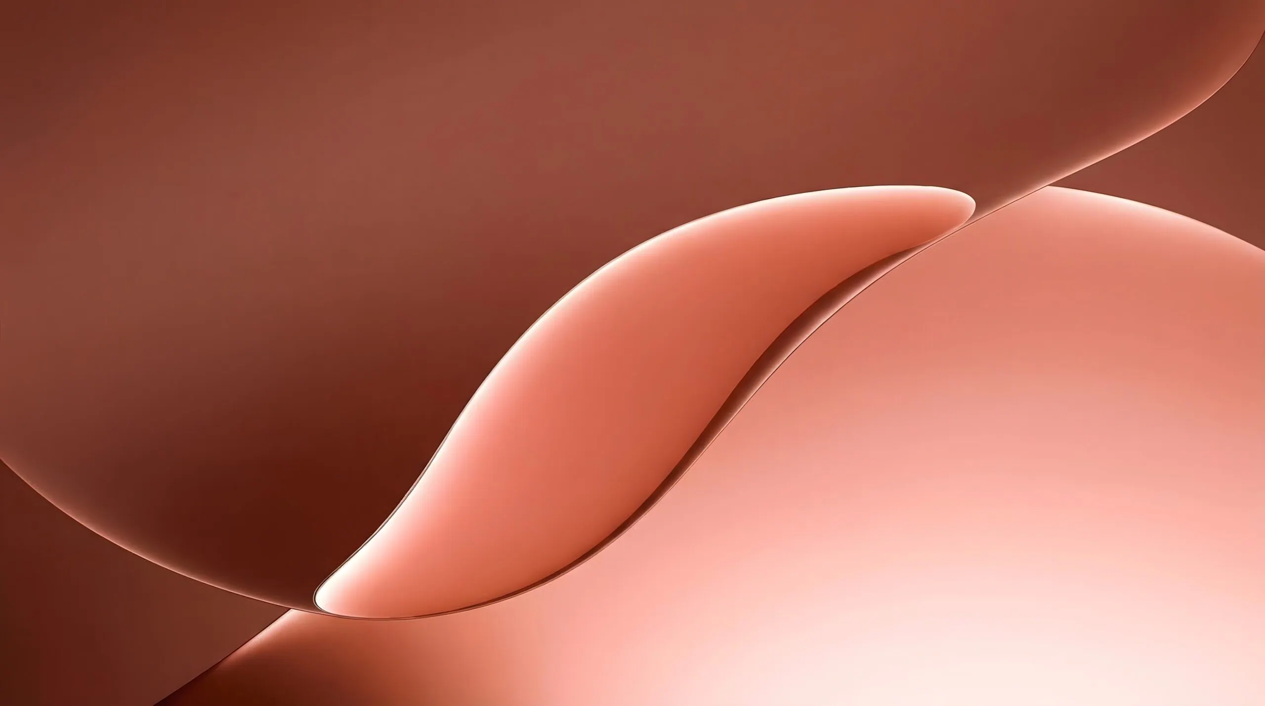 Xiaomi Book Pro 14 Peach and coral tones Wallpapers
