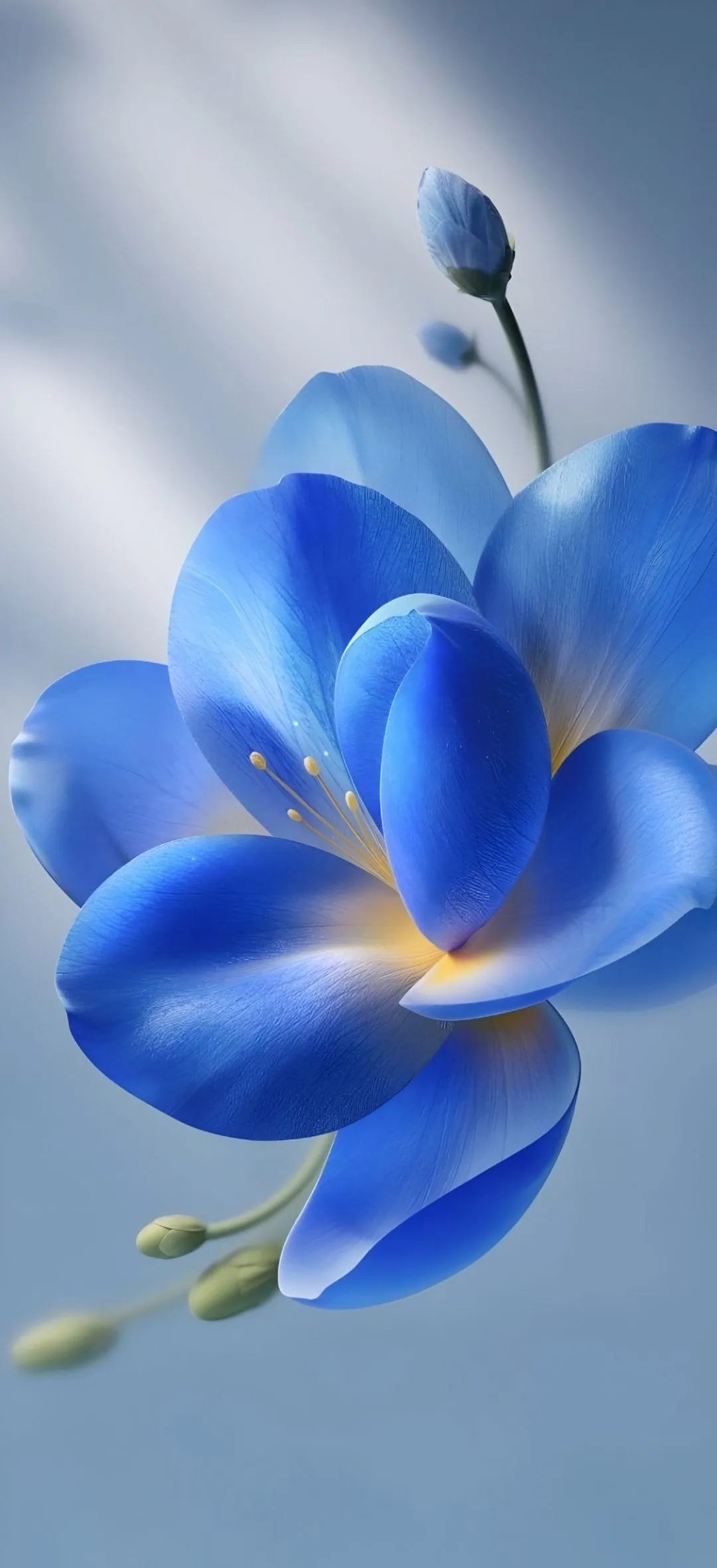 VIVO X500 sky blue wallpaper