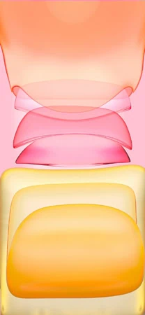 iPhone 11 Wallpapers preview 1