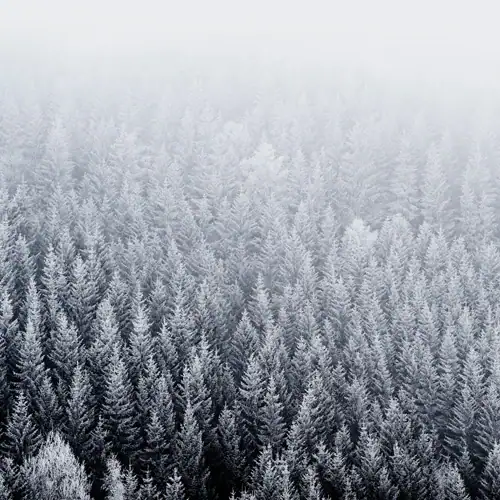 iPhone 6 Wallpapers preview 3