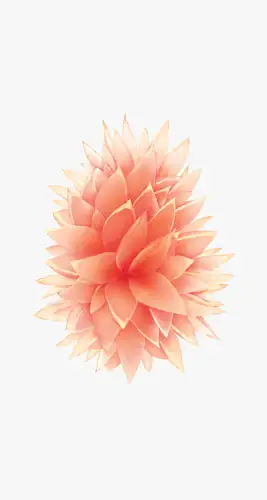 iPhone SE Wallpapers preview 3